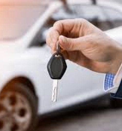 Import Process download (52)